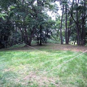 Mimmo Roselli in New York